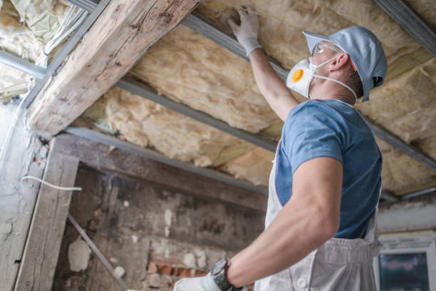 Best Eco-Friendly Insulation in Wake Forest, NC